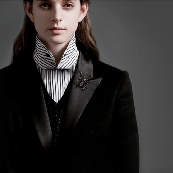 Spider Crystal Rhinestone Brooch - Picture 8 of 14